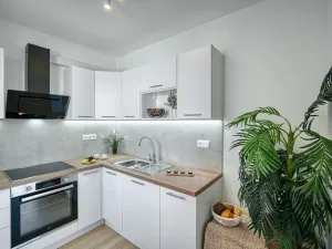 Pronájem bytu 1+1, Jablonec nad Nisou - Mšeno nad Nisou, Boženy Němcové, 40 m2