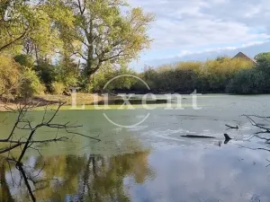 Prodej zemědělského objektu, Běrunice, 600 m2