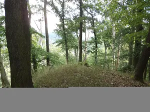 Prodej pole, Malé Březno, 14517 m2