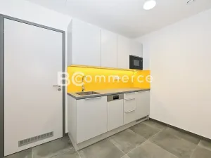 Pronájem skladu, Brno, Svatopetrská, 203 m2