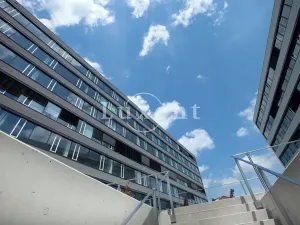 Pronájem kanceláře, Brno, Nové sady, 150 m2