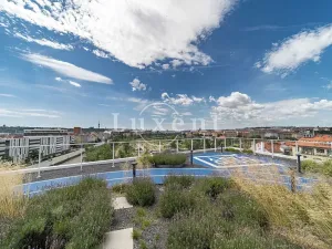 Pronájem kanceláře, Praha - Holešovice, Plynární, 171 m2