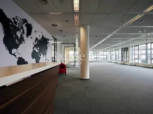 Pronájem kanceláře, Praha, Radlická, 516 m2
