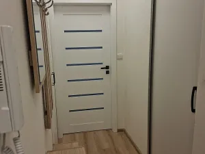 Pronájem bytu 1+1, Olomouc, Wolkerova, 39 m2