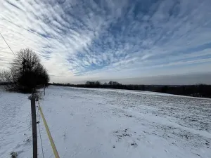 Prodej louky, Bruzovice, 94427 m2