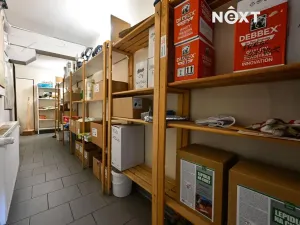 Prodej obchodního prostoru, Bílovec, 817 m2