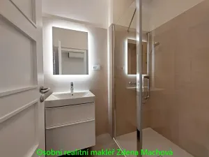 Pronájem bytu 1+1, Praha - Vinohrady, Písecká, 52 m2