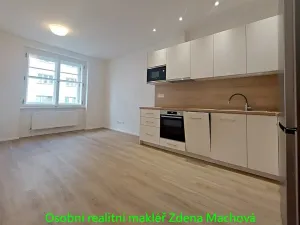 Pronájem bytu 1+1, Praha - Vinohrady, Písecká, 52 m2