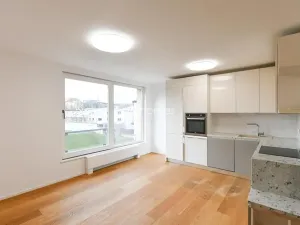 Pronájem bytu 3+kk, Praha - Bubeneč, Mlýnská, 96 m2