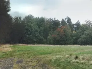 Dražba pole, Sychrov, 2316 m2