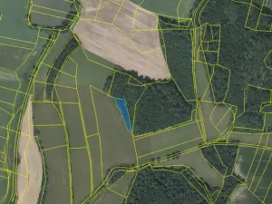 Prodej lesa, Čepřovice, 1644 m2