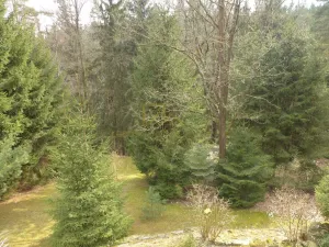 Prodej chaty, Žár - Žumberk, 40 m2