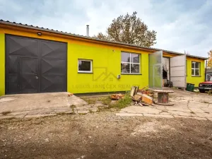 Prodej komerčního pozemku, Veselí nad Lužnicí - Veselí nad Lužnicí I, Sokolská, 20365 m2