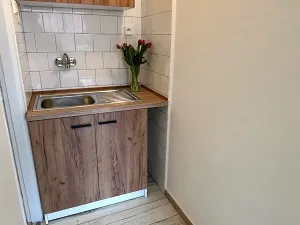 Pronájem bytu 1+kk, Frýdek-Místek, El. Krásnohorské, 29 m2