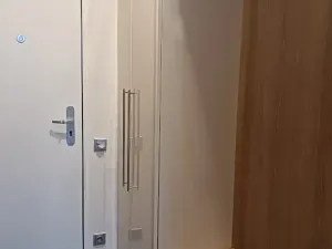 Pronájem bytu 3+kk, Praha - Nové Město, Opletalova, 70 m2