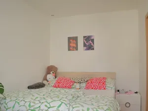 Prodej bytu 2+kk, Benešov, Rubešova, 38 m2