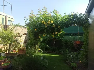 Prodej vícegeneračního domu, Mikulov, Na Jámě, 220 m2