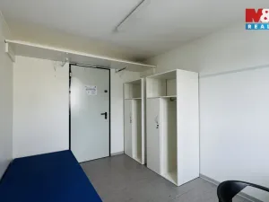 Prodej, Planá, 300 m2