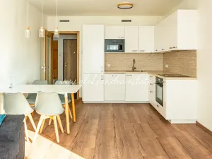 Pronájem bytu 2+kk, Praha - Vysočany, Střídavá, 52 m2