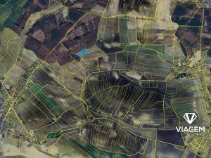 Prodej podílu pole, Krakovany, 3338 m2