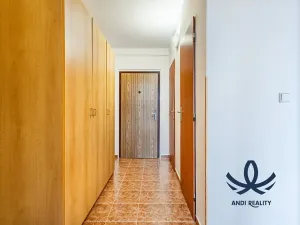 Pronájem bytu 2+kk, Mladá Boleslav, 17. listopadu, 45 m2