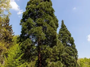 Pronájem kanceláře, Praha - Chodov, Tomíčkova, 500 m2