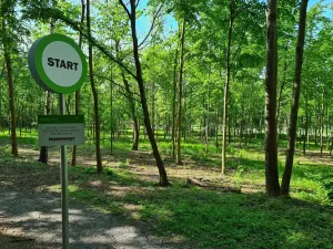 Pronájem kanceláře, Praha - Chodov, Tomíčkova, 33000 m2