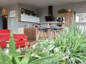 Pronájem bytu 1+kk, Olomouc, Kubíčkova, 97 m2