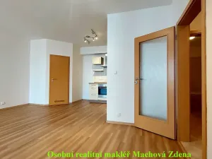 Pronájem bytu 2+kk, Praha - Strašnice, Gutova, 55 m2