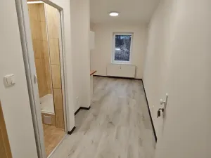 Pronájem bytu 1+kk, Praha - Hlubočepy, Na Zlíchově, 20 m2