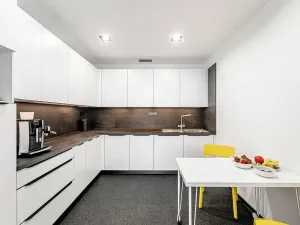 Pronájem obchodního prostoru, Praha - Holešovice, U Uranie, 500 m2