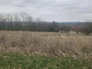 Prodej pozemku, Mezno - Stupčice, 4787 m2