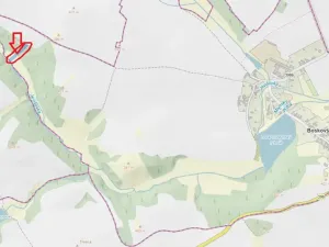 Prodej podílu lesa, Boskovštejn, 1959 m2