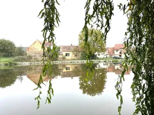 Prodej pozemku pro bydlení, Sedlice, 790 m2