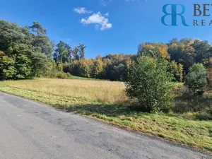 Prodej pozemku pro bydlení, Přerov, 14217 m2