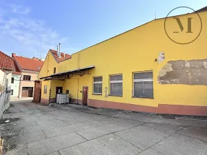 Prodej výrobních prostor, Netolice, Bavorovská, 650 m2