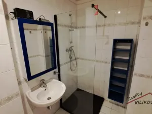 Pronájem bytu 2+1, Kostelní Hlavno, 58 m2