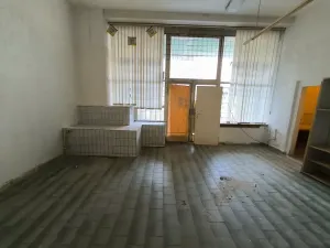 Pronájem obchodního prostoru, Ústí nad Labem, Seifertova, 87 m2