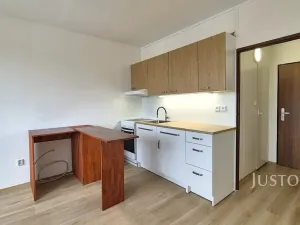 Pronájem bytu 1+1, Písek, třída Přátelství, 36 m2