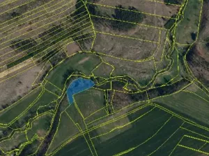 Prodej lesa, Pošná, 3636 m2