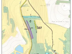 Prodej lesa, Nový Rychnov, 7440 m2