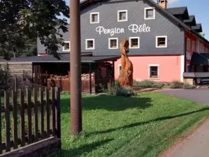 Prodej pozemku, Bělá pod Pradědem, 55 m2