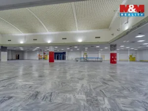 Pronájem obchodního prostoru, Plzeň - Východní Předměstí, Americká, 1603 m2