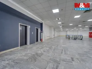 Pronájem obchodního prostoru, Plzeň - Východní Předměstí, Americká, 1603 m2