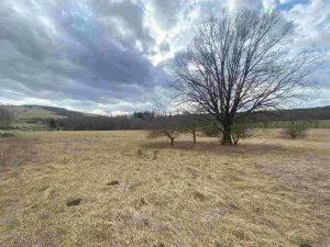 Prodej pole, Javorník, 664 m2