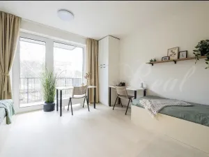 Pronájem bytu 1+kk, Brno - Zábrdovice, Bratislavská, 35 m2