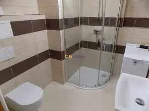 Pronájem bytu 1+kk, Praha - Horní Měcholupy, Hornoměcholupská, 36 m2