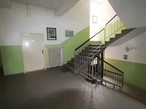 Prodej bytu 1+1, Praha - Vinohrady, Písecká, 52 m2