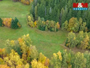 Prodej louky, Tanvald - Šumburk nad Desnou, 2029 m2