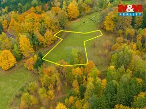 Prodej louky, Tanvald - Šumburk nad Desnou, 1589 m2